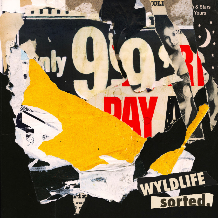 Wyldlife sorted. LP/Vinyl