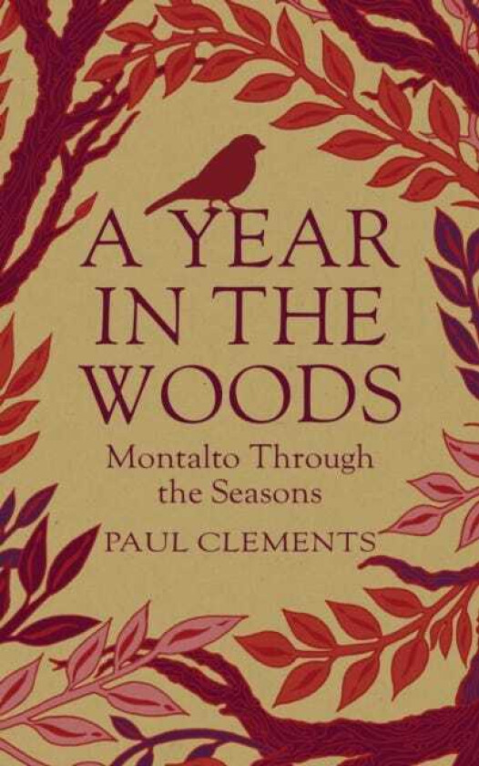 A Year In the Woods Montalto Through the Seasons