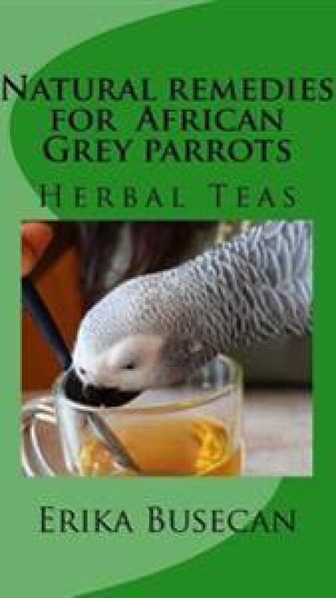 Natural Remedies for African Grey Parrots: Herbal Teas