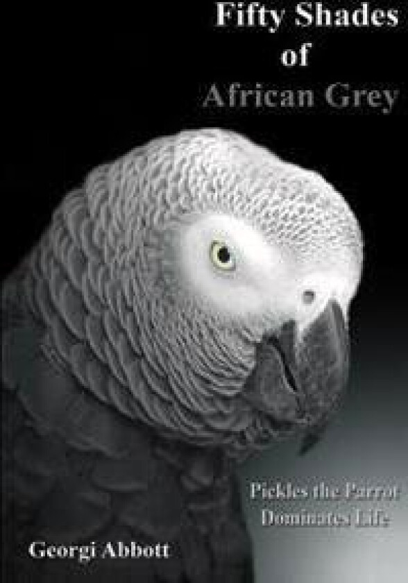 Fifty Shades of African Grey: Pickles the Parrot Dominates Life
