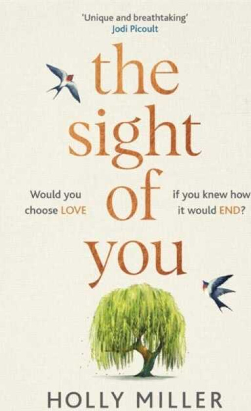 The Sight of You An unforgettable love story and Richard & Judy Book Club pick
