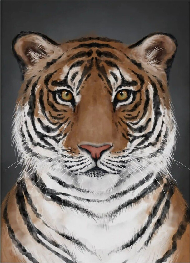 Tiger poster 30x40 cm