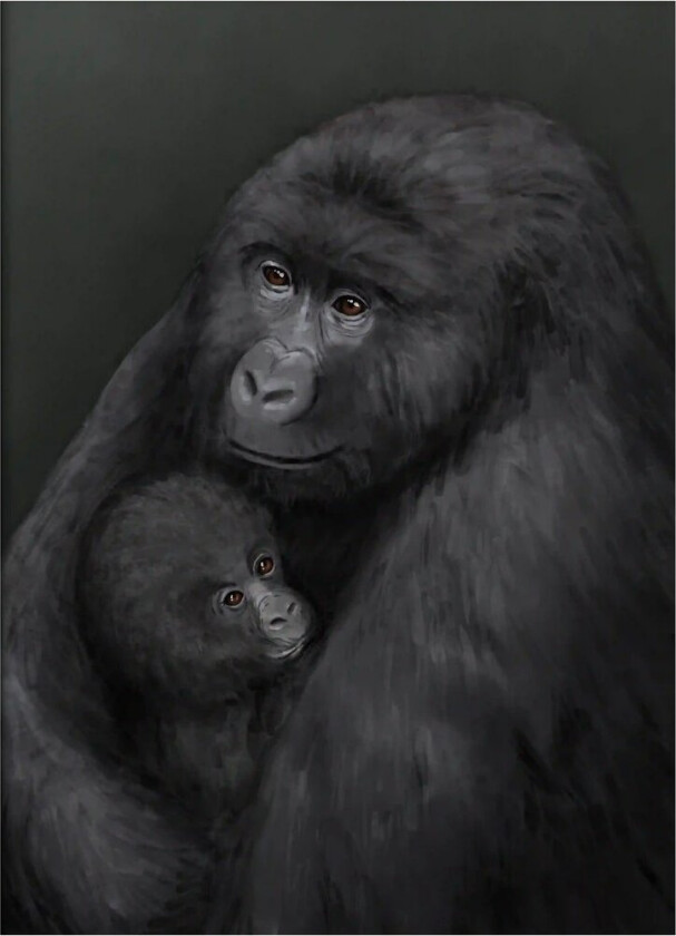 Bergsgorilla poster 30x40 cm