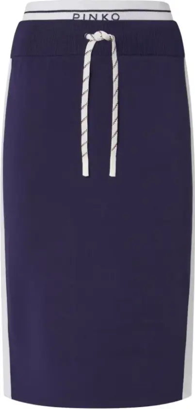 Pinko, Dame, Skjørt, Blå, S