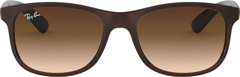 Ray-Ban Andy 0RB4202 Brun