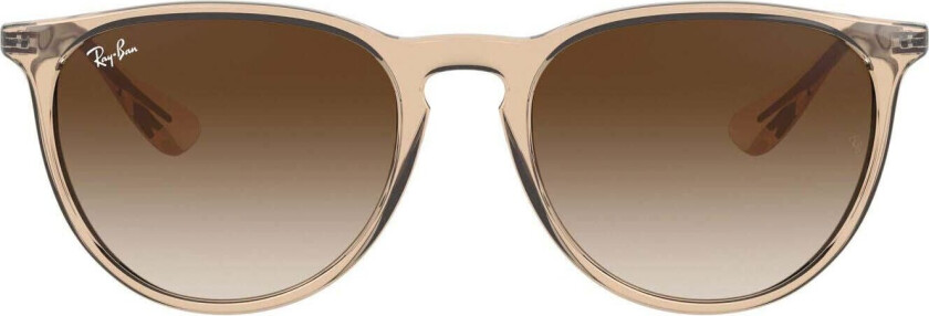 Ray-Ban Erika 0RB4171 Brun