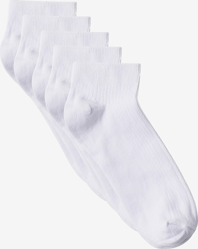 Ankelsokker Sneaker Rib 5-pakning - Hvit