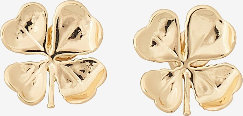 Øredobber Isabella - Gull