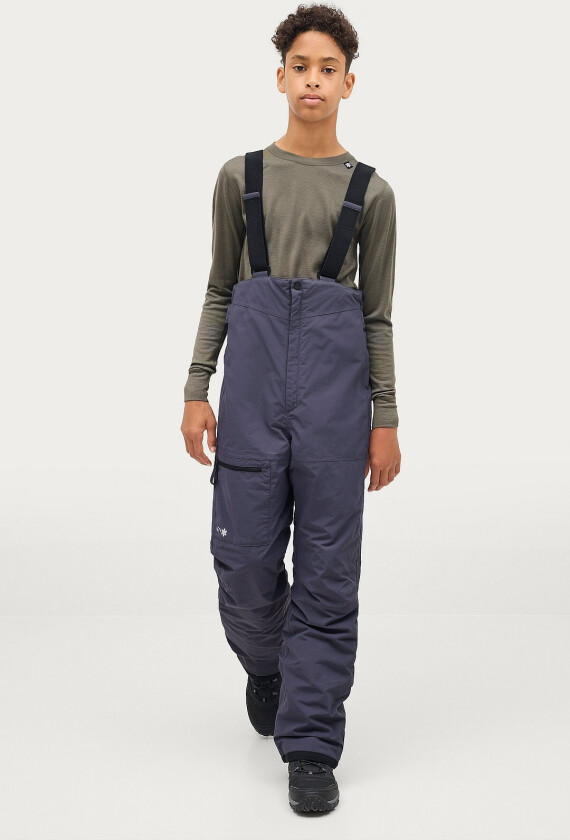 Skibukser Bib Ski Pants Jr - Grå
