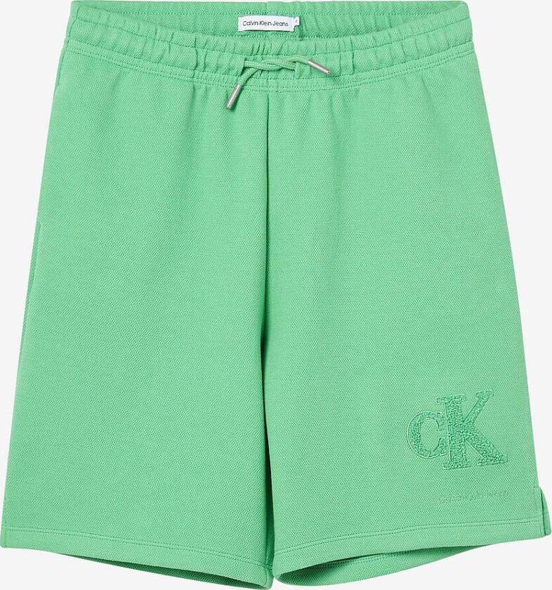 Shorts CK Interlock Pique Shorts - Grønn