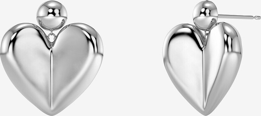 Øredobben True Love Earrings Steel - Sølv
