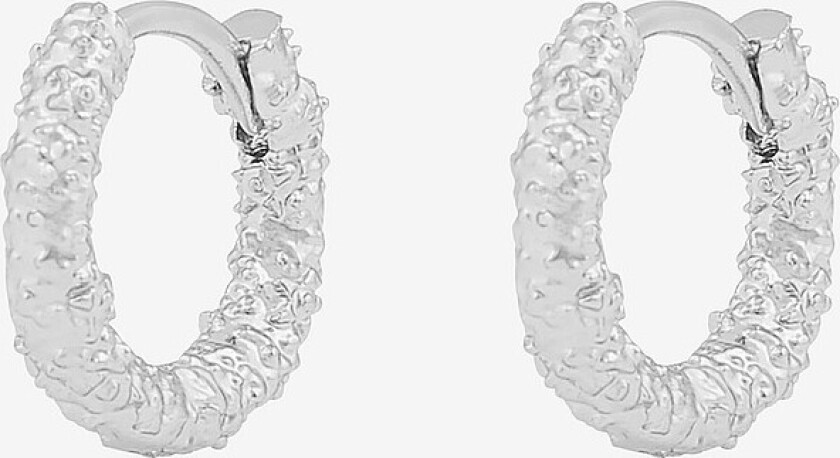 Øreringen Gisele Small Ring Ear - Sølv