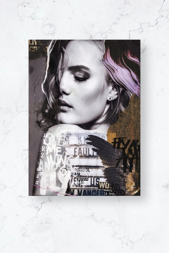 Poster / Fly again / Plano - Flerfarget