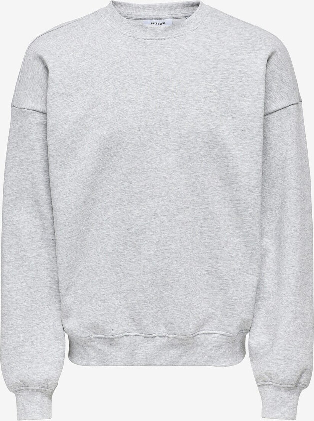 Collegegenser onsTurner Life Vtg Crew Neck Sweat - Grå