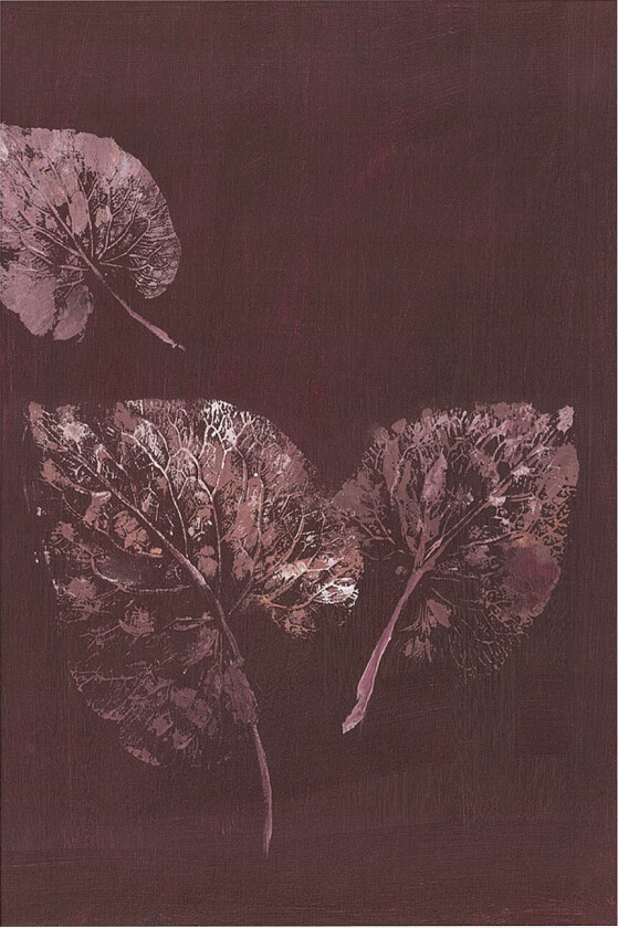 Poster Pure Nature 5 - Rød