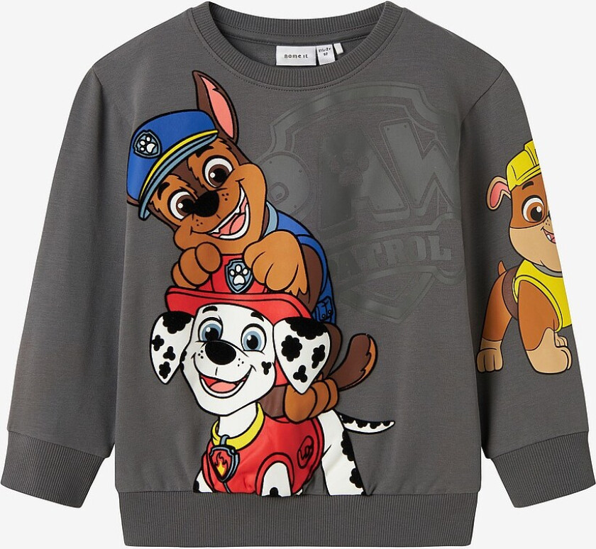 Collegegenser nmmJonce Paw Nreg Sweat Unb - Grå