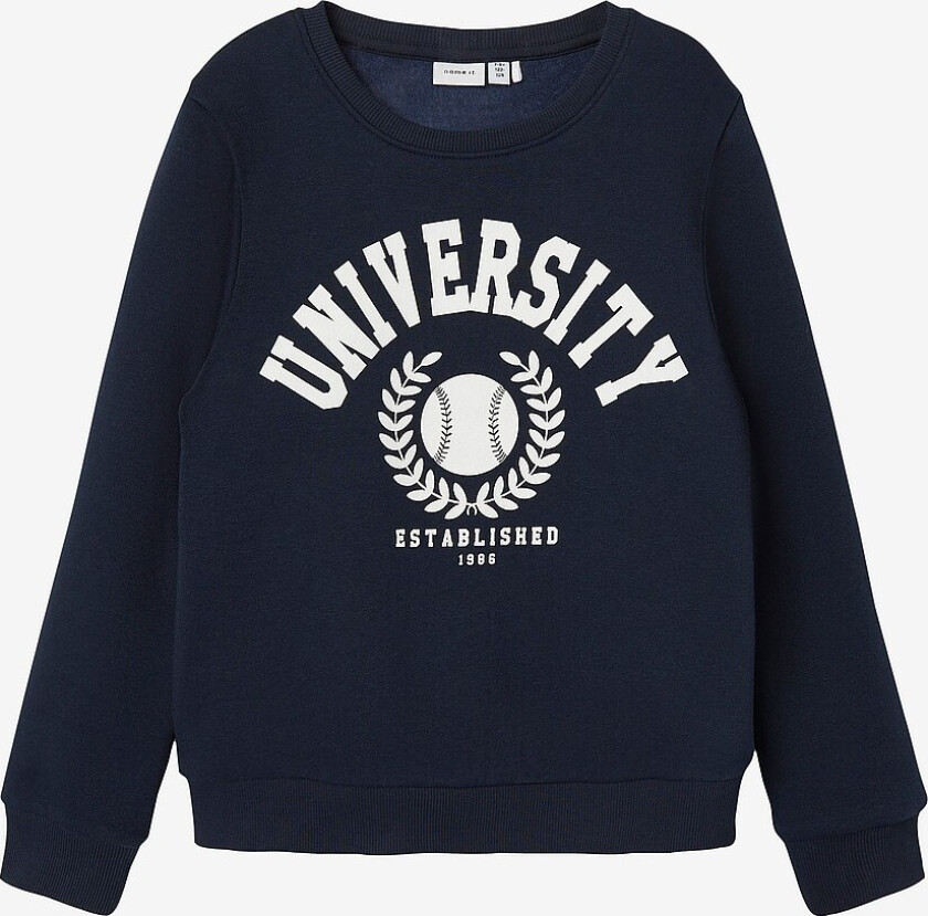 Collegegenser nknTille LS Sweat Bru - Blå