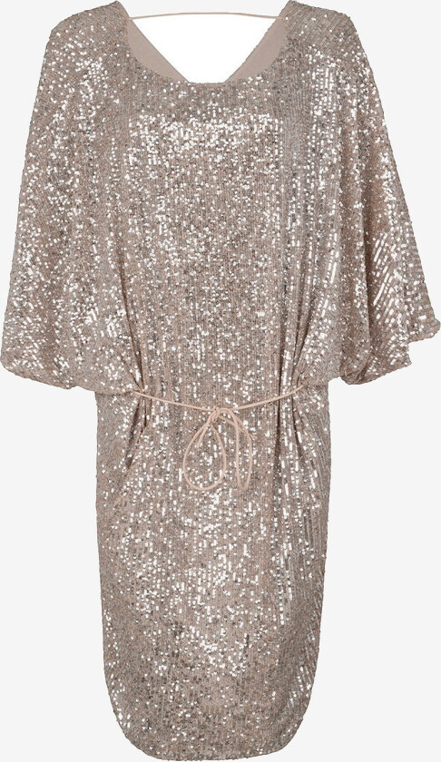 Kjole Hannahcras Dress - Sølv