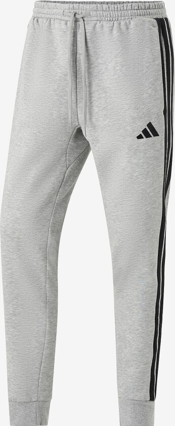 Sweatpants M 3S FL TC PT - Grå