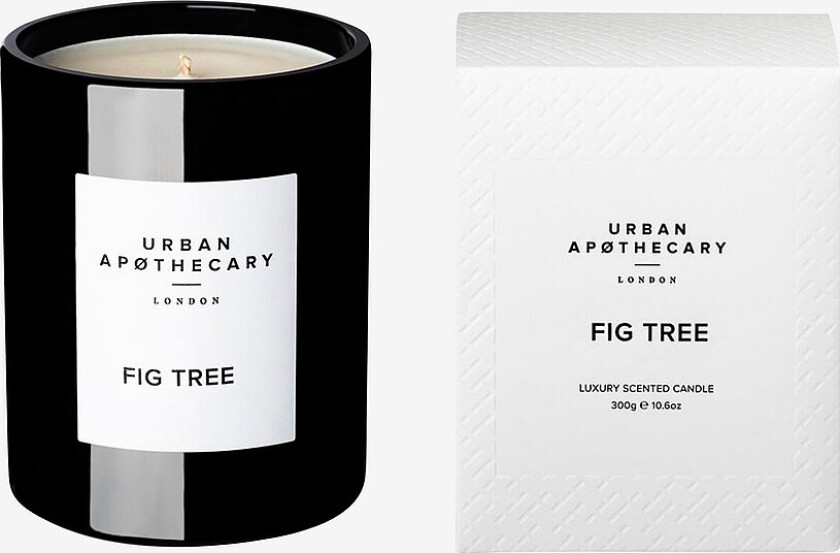 Luxury Candle Fig Tree - Hvit