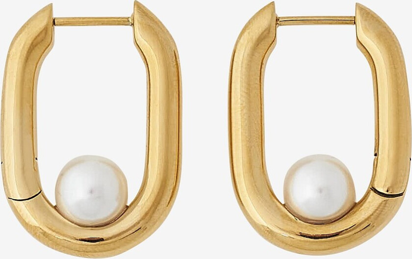 Øredobber Modernist Pearl Hoops L - Gull