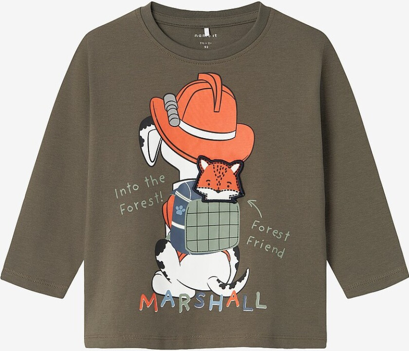 T-skjorte nmmSino Pawpatrol LS Nreg Top Box - Grønn