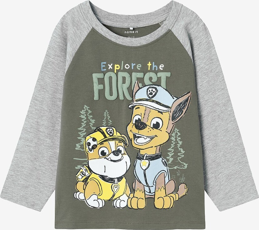 T-skjorte nmmSente Pawpatrol LS Nreg Top - Grønn