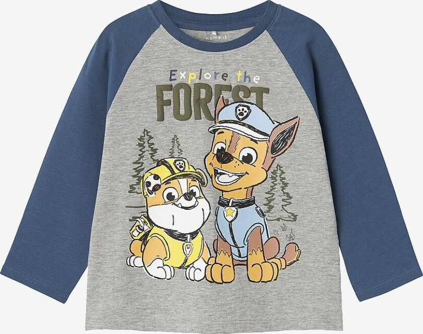 T-skjorte nmmSente Pawpatrol LS Nreg Top - Grå