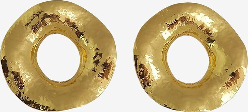 Øredobber Dry Earrings - Gull