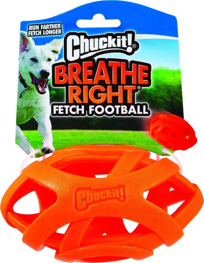 ! Pust lett fetch ball