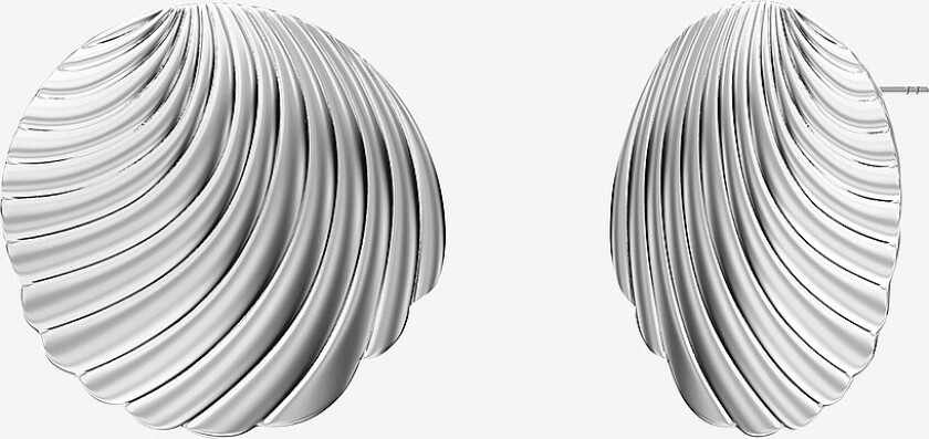 Øredobber Shelli Studs L Steel - Sølv