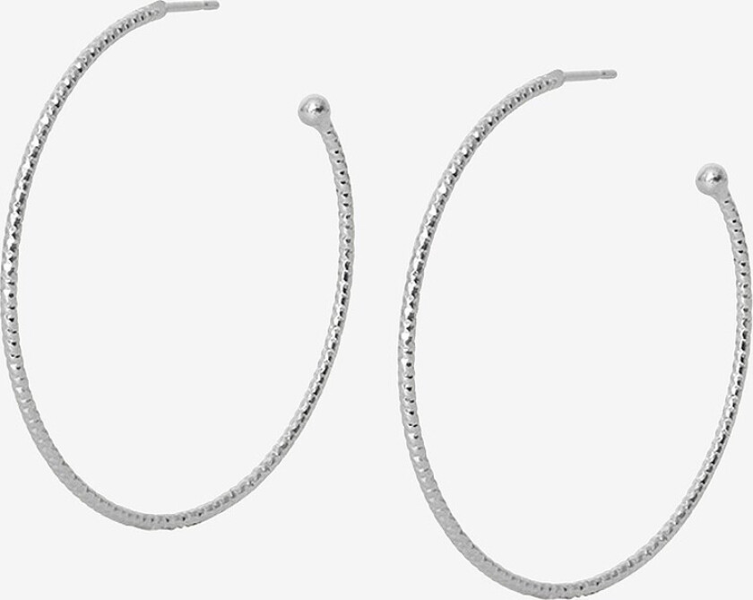 Øreringer Evita Loop Earrings - Sølv