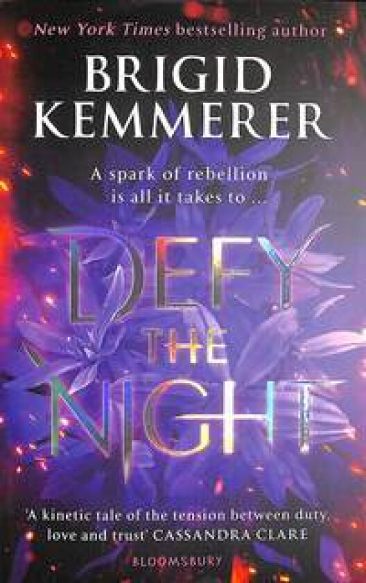 Defy the night av Brigid Kemmerer