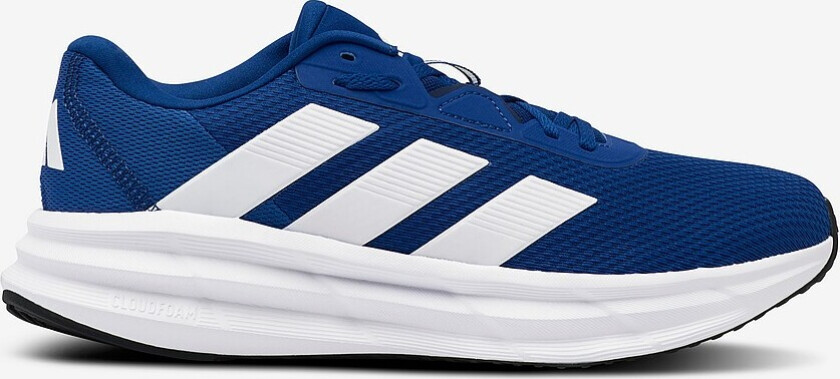 Galaxy 7 Herre Royblu/Ftwwht/Dkblue 40 ⅔