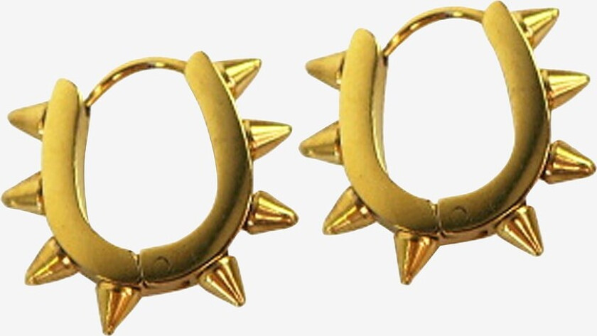 Øredobber Kai Tag Earrings - Gull