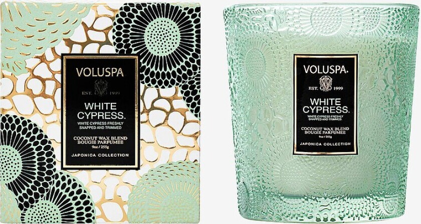 White Cypress- Classic Boxed Candle 60H