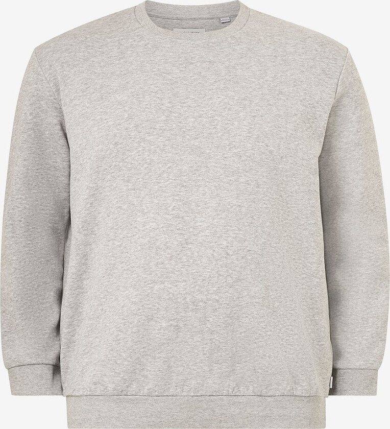 Collegegenser jjeBradley Sweat Crew Noos Pls - Grå
