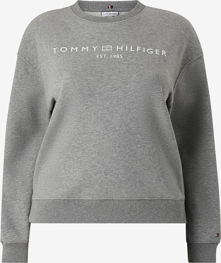 Collegegenser Crv Mdrn Reg Corp Logo Swtshrt - Grå