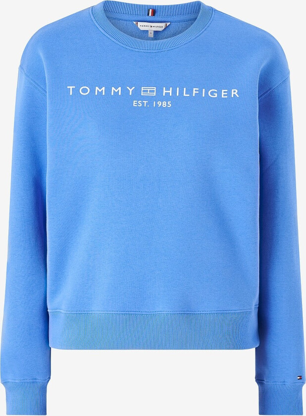 Collegegenser Mdrn Reg Corp Logo C-nk Swtshrt - Blå