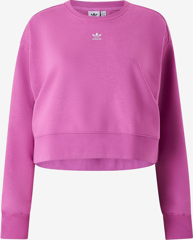 Collegegenser Adicolor Essentials Crew Sweatshirt Plus - Lilla