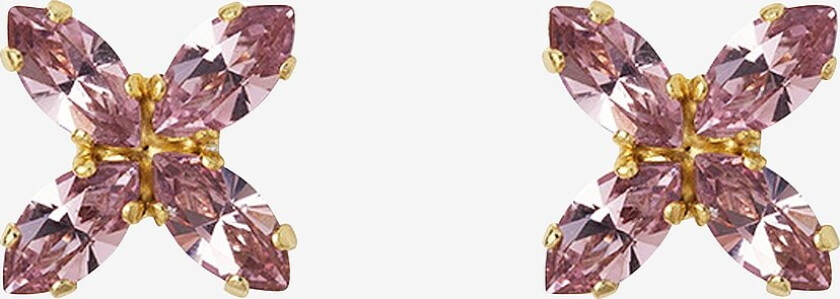 Øredobber CRYSTAL STAR EARRINGS GOLD - Blå