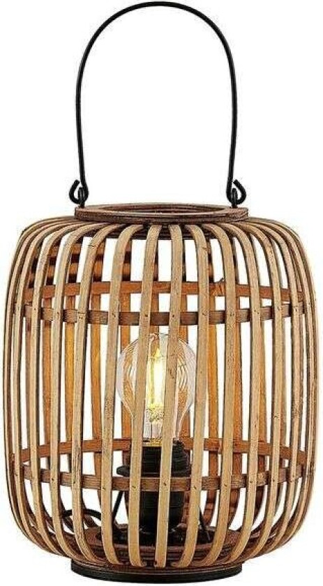 Canyana bordlampe av rotting, natur