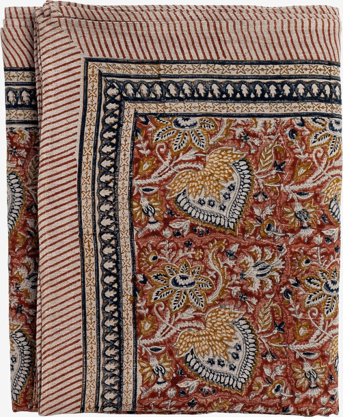 Linduk Oriental - Brun