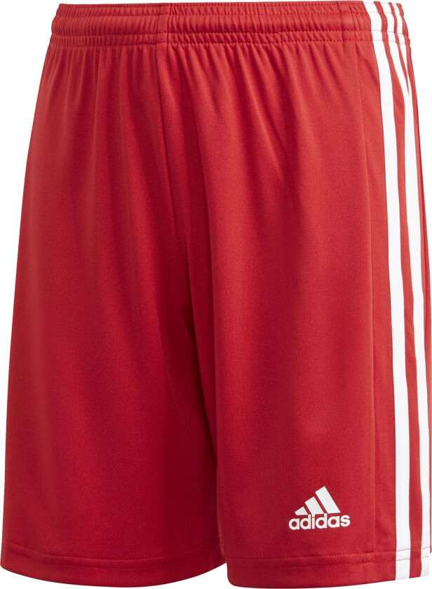 adidas Squadra 21 Short, fotballshorts, junior Team Power Red/white