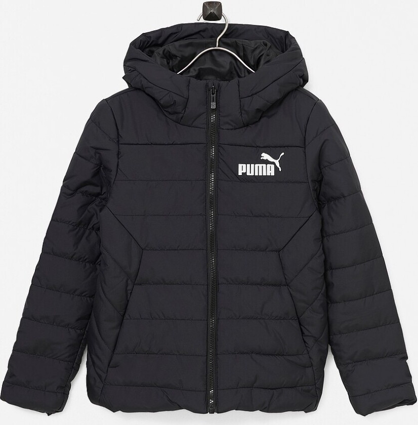 Jakke ESS Hooded Padded Jacket - Svart
