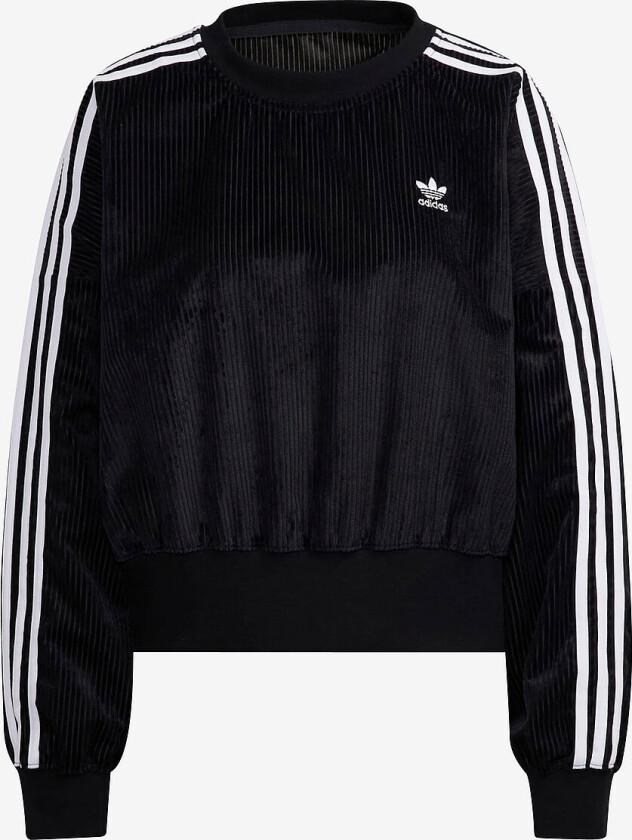 Collegegenser Adicolor Classics Corded Velour Oversize Sweatshirt - Svart