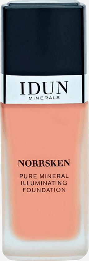 Liquid Mineral Foundation Norrsken - Natur