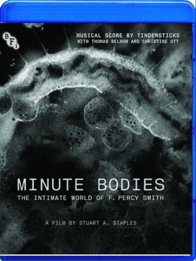 Minute Bodies Bluray