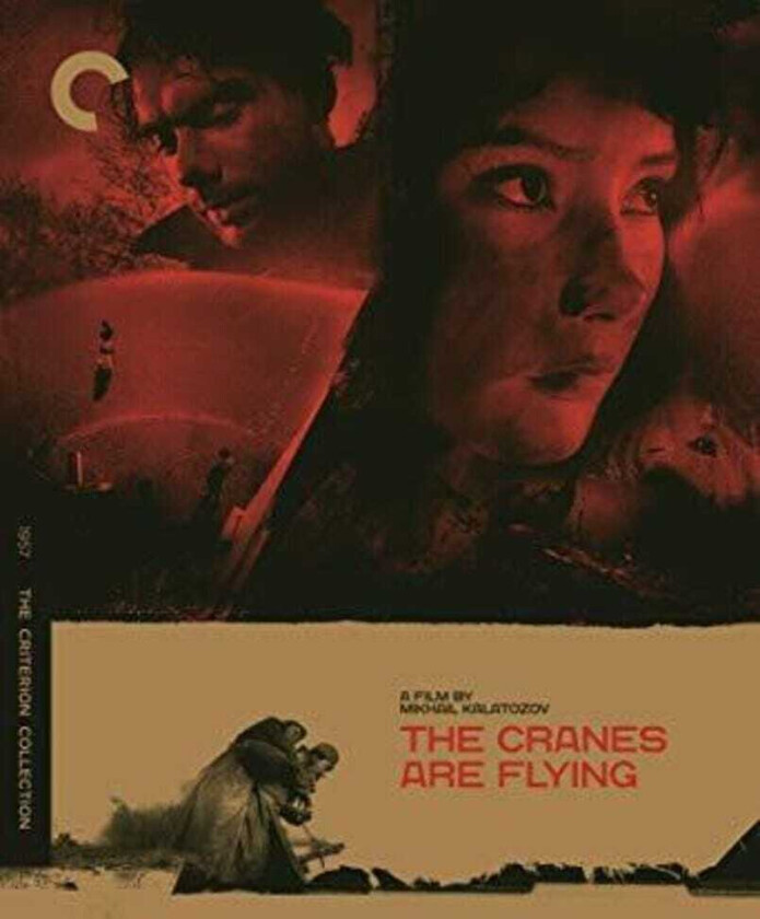 The Cranes Are Flying Bluray