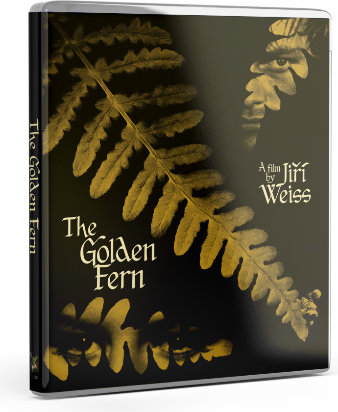 The Golden Fern (1963) Bluray